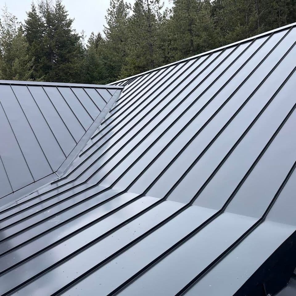 Metal roof with sleek, modern design over a forested landscape. Durable and stylish roofing.